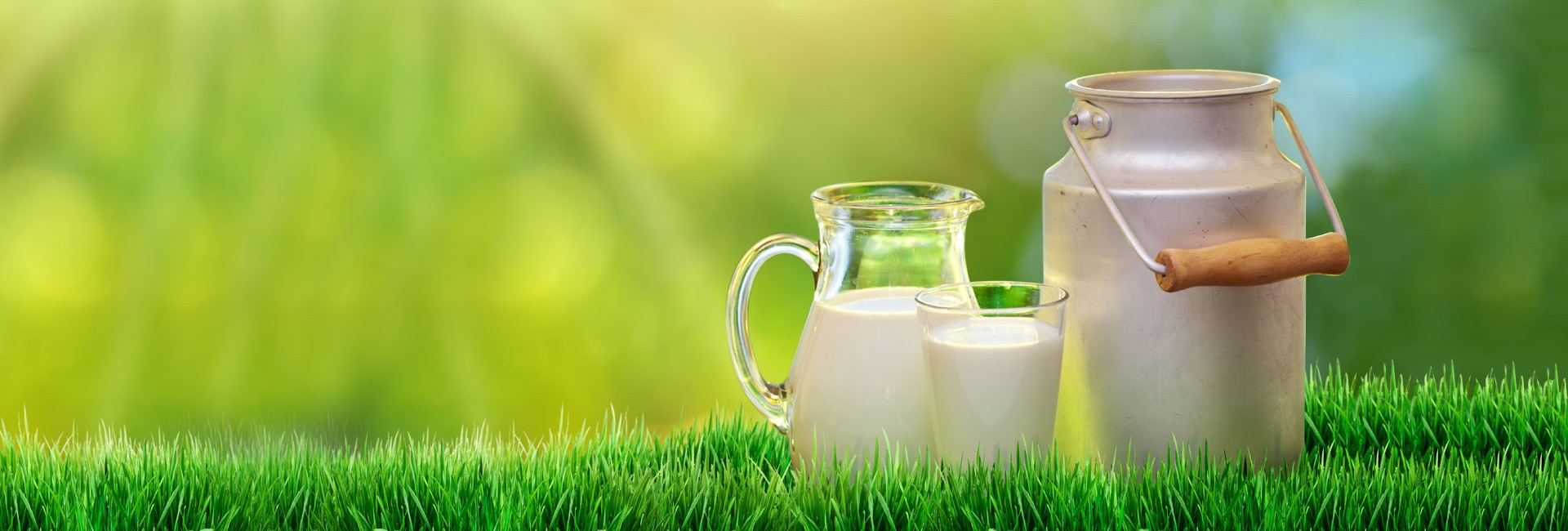 Starting A Dairy Business 5 Things You Need To Know