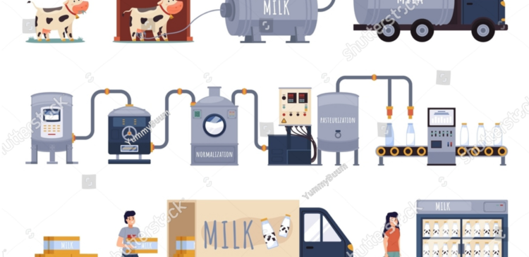 Dairy business owners milk collection systems pricing policies dairy industry milk procurement farm-to-table dairy farming milk supply chain sustainable agriculture milk quality control dairy industry trends dairy business management farm management dairy product pricing milk pricing strategies